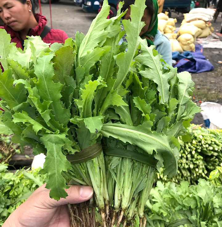 Cây[-]thuốc[-]phiện[-]bày[-]bán[-]như[-]rau[-]ở[-]chợ[-]biên[-]giới[-]Việt[-]-[-]Lào