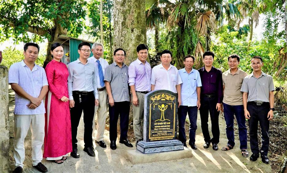 Hai[-]cây[-]Trầm[-]hương[-]cổ[-]thụ[-]đầu[-]tiên[-]được[-]công[-]nhận[-]là[-]Cây[-]Di[-]sản[-]Việt[-]Nam