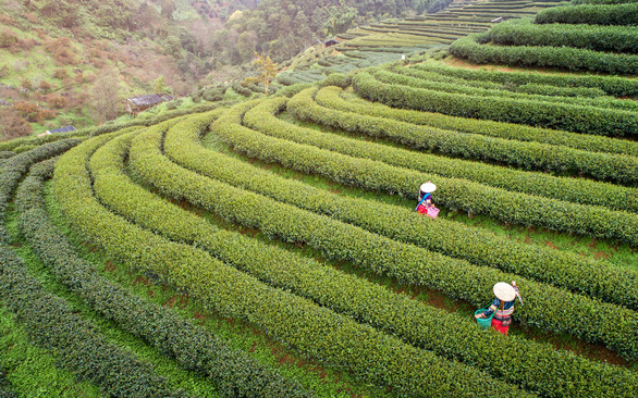 Hội[-]An[-]đứng[-]đầu[-]15[-]thành[-]phố[-]tuyệt[-]vời[-]nhất[-]thế[-]giới