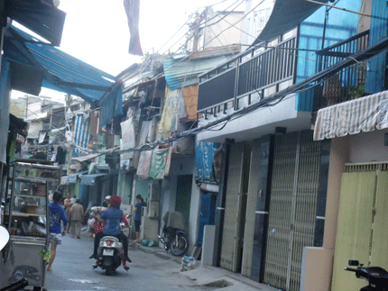 Chuột[-]'ngủ[-]chung'[-]với[-]người[-]giữa[-]Sài[-]Gòn