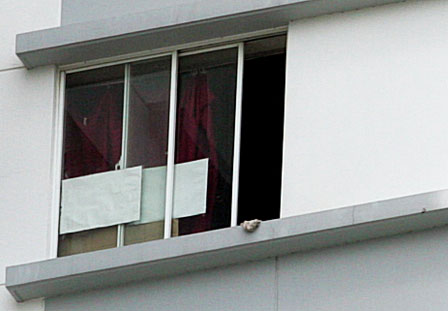 Cửa[-]sổ[-]tầng[-]15,[-]nơi[-]bé[-]L.A[-]nhào[-]qua[-]rơi[-]xuống[-]đất[-]tử[-]vong