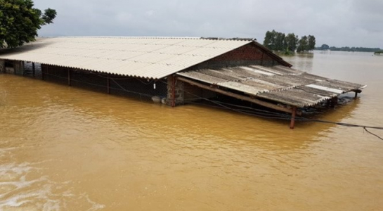 Luật[-]của[-]tự[-]nhiên[-]không[-]cho[-]phép[-]"vỡ[-]đê[-]theo[-]kế[-]hoạch"