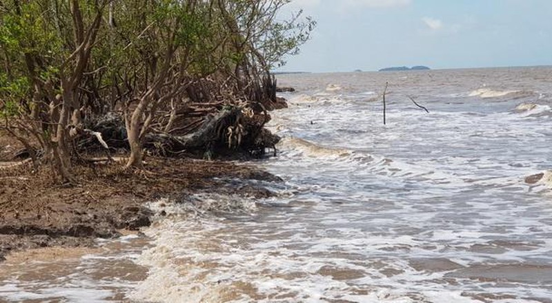 Đ&ecirc;[-]biển[-]T&acirc;y[-]C&agrave;[-]Mau[-]xuất[-]hiện[-]nhiều[-]điểm[-]sạt[-]lở[-]nghi&ecirc;m[-]trọng