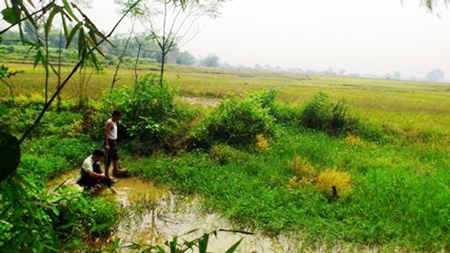 Người[-]dân[-]ở[-]xã[-]Cần[-]Kiệm[-]chỉ[-]chỗ[-]đồng[-]ruộng[-]có[-]người[-]lạ[-]“viếng[-]thăm”