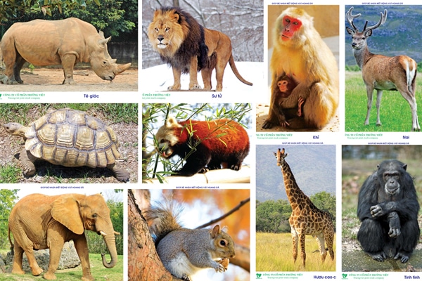 Hai[-]phần[-]ba[-]các[-]quần[-]thể[-]động[-]vật[-]hoang[-]dã[-]đã[-]giảm[-]từ[-]năm[-]1970