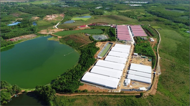 Lãnh[-]đạo[-]Sở[-]TN-MT[-]Phú[-]Thọ[-]khẳng[-]định[-]Dabaco[-]bị[-]phạt[-]300[-]triệu[-]là[-]đúng