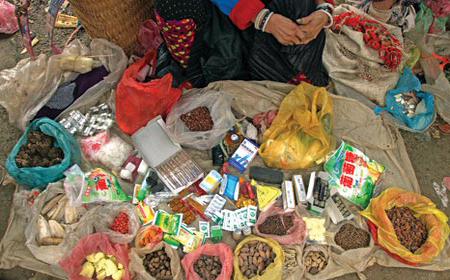 Thần[-]dược[-]phòng[-]the[-]của[-]người[-]Mông