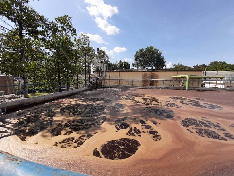 Người[-]phụ[-]nữ[-]Đồng[-]Nai[-]gần[-]20[-]năm[-]đi[-]kiện[-]c&ocirc;ng[-]ty[-]AB[-]Mauri[-]g&acirc;y[-]&ocirc;[-]nhiễm