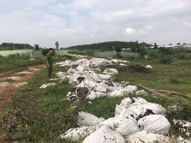 Đồng[-]Nai:Trại[-]heo[-]của[-]Công[-]ty[-]C.P[-]xả[-]nước[-]thải[-]chưa[-]xử[-]lý[-]ra[-]môi[-]trường