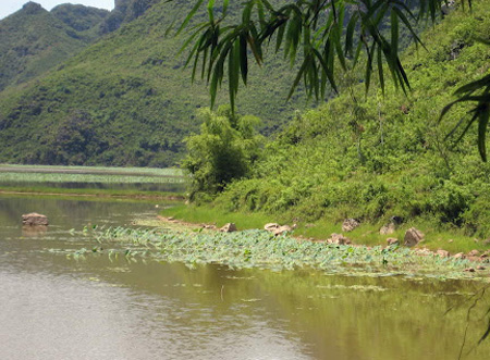 Hồ[-]chứa[-]nước[-]Tuy[-]Lai