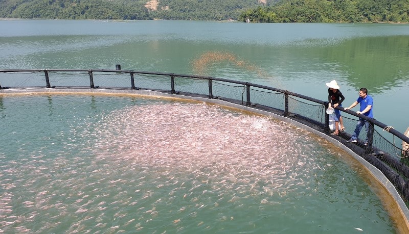 Đồng[-]h&agrave;nh[-]c&ugrave;ng[-]ngư[-]d&acirc;n[-]ph&aacute;t[-]triển[-]nghề[-]bền[-]vững[-]tại[-]Quảng[-]Ninh