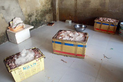 lòng[-]thối[-]đà[-]nẵng[-]-[-]ảnh[-]nguyễn[-]tú