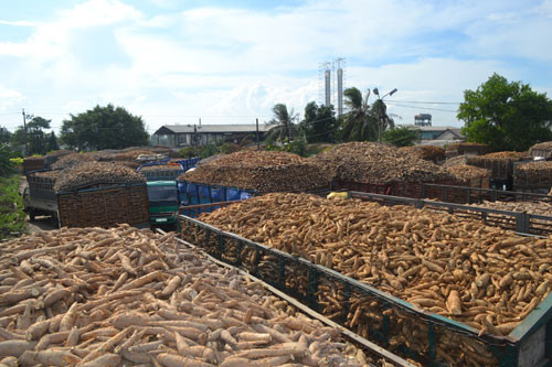 Tăng[-]cường[-]kiểm[-]tra,[-]giám[-]sát[-]việc[-]xử[-]lý[-]nước[-]thải[-]của[-]các[-]doanh[-]nghiệp[-]chế[-]biến[-]mủ[-]cao[-]su[-]và[-]tinh[-]bột[-]mì[-]