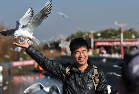 Một[-]thanh[-]niên[-]chụp[-]ảnh[-]cùng[-]chim.