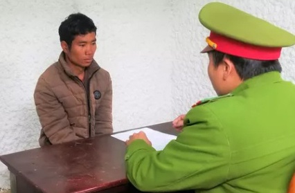 Khởi[-]tố[-]thanh[-]ni&ecirc;n[-]chặt[-]ph&aacute;[-]gần[-]100[-]c&acirc;y[-]th&ocirc;ng