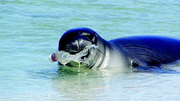 H&agrave;nh[-]tr&igrave;nh[-]t&agrave;n[-]ph&aacute;[-]thi&ecirc;n[-]nhi&ecirc;n[-]kinh[-]khủng[-]của[-]nước[-]đ&oacute;ng[-]chai