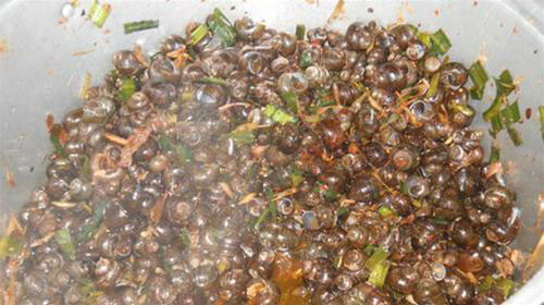 Nồi[-]ốc[-]còn[-]bốc[-]khói