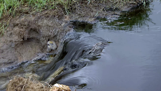 Nước[-]thải[-]của[-]Nh&agrave;[-]m&aacute;y[-]đường[-]Tuy[-]H&ograve;a[-]c&oacute;[-]7[-]th&ocirc;ng[-]số[-]vượt[-]quy[-]chuẩn