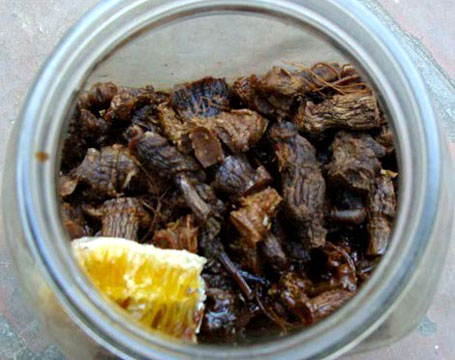 Những[-]thứ[-]đắt[-]như[-]vàng[-]ròng[-]trong[-]đại[-]ngàn[-]Hoàng[-]Liên