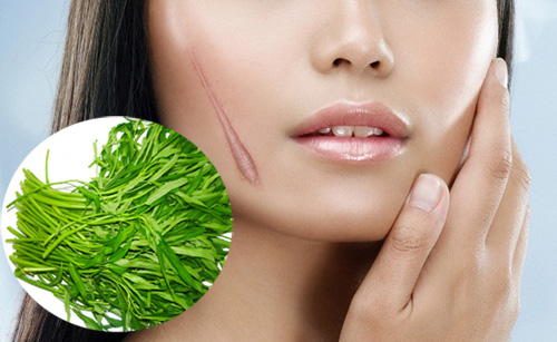 Thực[-]hư[-]chuyện[-]ăn[-]rau[-]muống[-]gây[-]sẹo[-]lồi