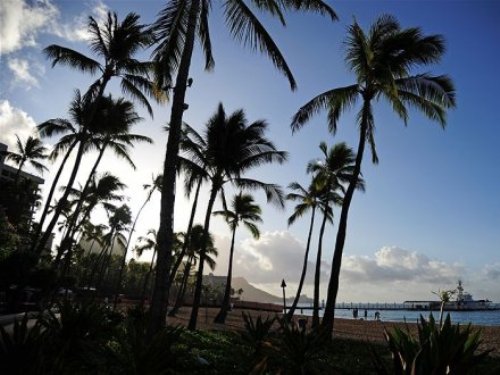 Bờ[-]biển[-]Waikiki[-]ở[-]hòn[-]đảo[-]Honolulu,[-]Hawaii[-]-[-]Ảnh:[-]AFP