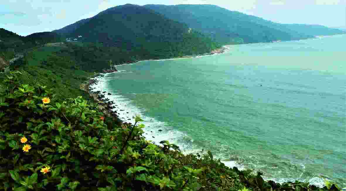 Quy[-]hoạch[-]là[-]cơ[-]sở[-]để[-]Đà[-]Nẵng[-]điều[-]chỉnh[-]lại[-]quy[-]mô[-]dự[-]án[-]tại[-]Sơn[-]Trà