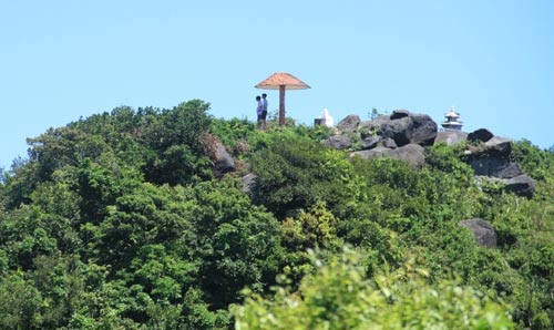 Gia[-]sản[-]Sơn[-]Trà