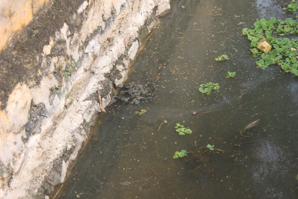 Thanh[-]Hoá:[-]Doanh[-]nghiệp[-]may[-]mặc[-]xả[-]thải[-]gây[-]ô[-]nhiễm[-]môi[-]trường