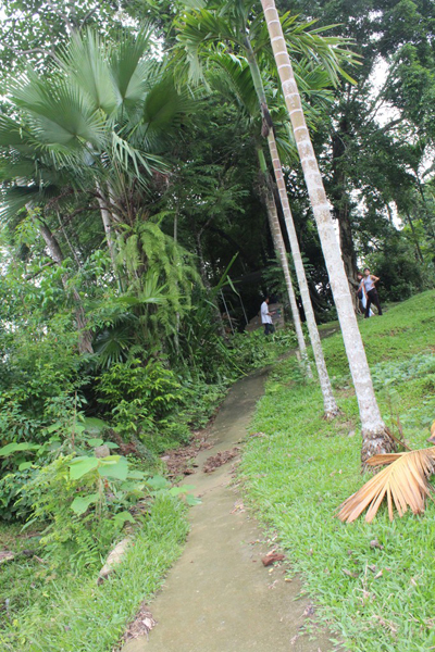 Con[-]đường[-]nhỏ[-]dẫn[-]lên[-]gốc[-]thị[-]ăn[-]thề