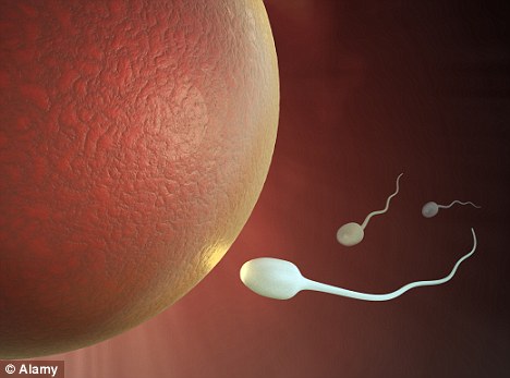 Tinh[-]tr&ugrave;ng[-]nh&acirc;n[-]tạo[-]sẽ[-]mang[-]đ&uacute;ng[-]kiểu[-]gene[-]của[-]người[-]đ&agrave;n[-]&ocirc;ng[-]với[-]mẫu[-]da[-]được[-]chọn.