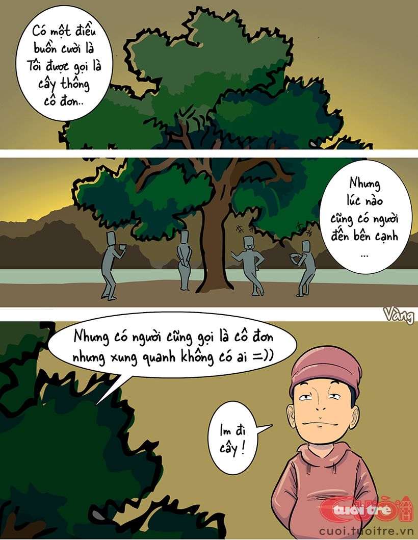 Cây[-]thông[-]cô[-]đơn[-]Đà[-]Lạt[-]có[-]thực[-]sự[-]cô[-]đơn?