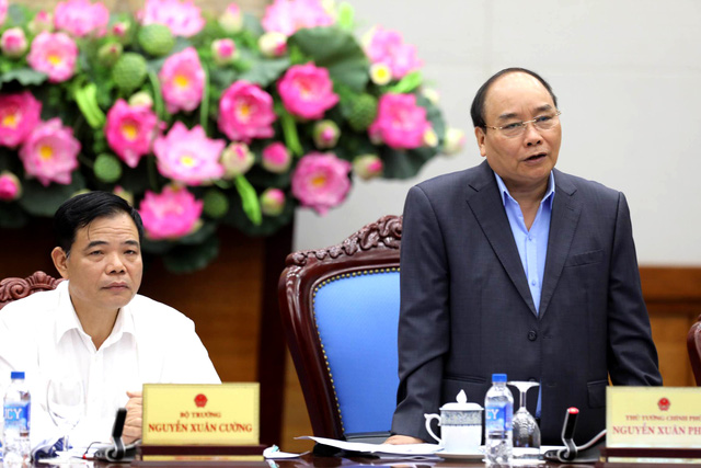 Thủ[-]tướng:[-]những[-]công[-]trình[-]thủy[-]điện[-]nhỏ[-]nhưng[-]phá[-]rừng[-]rất[-]lớn