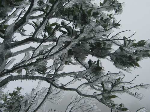 Mẫu[-]Sơn[-]đón[-]tết[-]trong[-]băng[-]tuyết,[-]Tin[-]tức[-]trong[-]ngày,[-]mau[-]son,[-]don[-]tet,[-]bang[-]tuyet,[-]tet[-]nguyen[-]dan,[-]bao,[-]tin[-]hay,[-]tin[-]hot,[-]tin[-]tuc[-]-[-]1