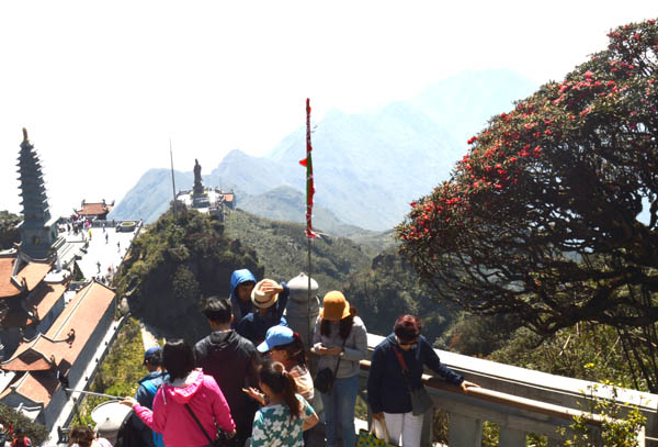 H&agrave;ng[-]vạn[-]người[-]đổ[-]về[-]Sa[-]Pa[-]chi&ecirc;m[-]ngưỡng[-]C&acirc;y[-]Di[-]sản[-]Việt[-]Nam