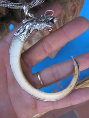 Bí[-]ẩn[-]nghĩa[-]địa[-]heo[-]rừng[-]bạc[-]tỷ[-]giữa[-]đại[-]ngàn