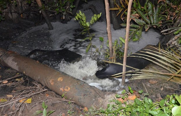 Bến[-]Tre:[-]Xử[-]phạt[-]doanh[-]nghiệp[-]xả[-]nước[-]thải[-]chưa[-]qua[-]xử[-]l&yacute;[-]ra[-]m&ocirc;i[-]trường