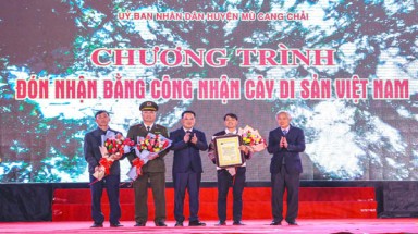 Chủ tịch UBND tỉnh Yên Bái trực tiếp trao Bằng công nhận Cây di sản Việt Nam cho đại diện Khu bảo tồn Chế Tạo huyện Mù Cang Chải