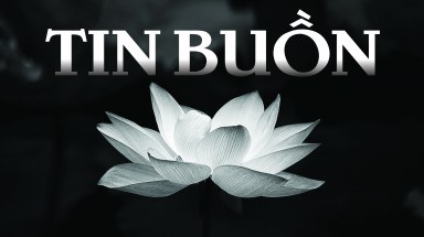  TIN BUỒN: PGS. TS. Nguyễn Đình Hòe - Phó Chủ tịch VACNE đã từ trần