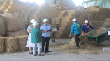 Từ rơm thành tiền: Mô hình viên nén sinh khối ở nông thôn