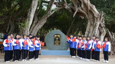  Những cây cổ thụ đầu tiên của huyện Sơn Dương, tỉnh Tuyên Quang được vinh danh cây Di sản Việt Nam
