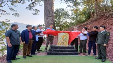 Cây đầu tiên của tỉnh Lai Châu được công nhận Cây Di sản Việt Nam