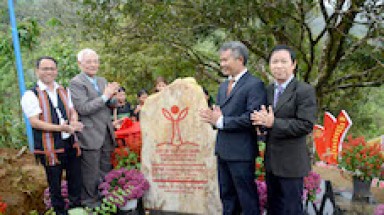 Cây Quế đầu tiên được công nhận Cây Di sản Việt Nam