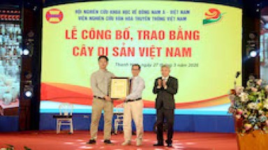  Cây Nhội “Linh Kỳ Mộc” ở Thanh Hóa được công nhận Cây Di sản Việt Nam