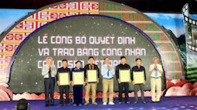 Những cây Hồi đầu tiên của nước ta được vinh danh cây di sản Việt Nam đúng vào ngày sinh Bác Hồ