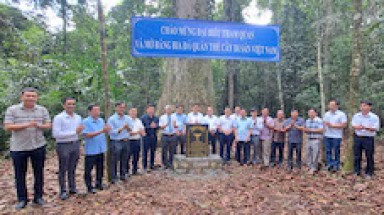  Nhiều loài cây mới tại Phú Quốc được công nhận là Cây Di sản Việt Nam
