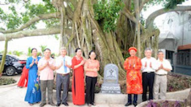  Cây cổ thụ đầu tiên của xã Bình Định, tỉnh Hưng Yên được công nhận Cây Di sản Việt Nam