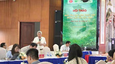 Bảo tồn các loài thực vật nguy cấp tại Việt Nam: từ hiện trạng đến giải pháp bền vững