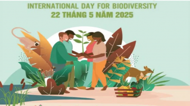 Ngày Quốc tế Đa dạng sinh học năm 2025: Sống hài hòa với thiên nhiên và phát triển bền vững