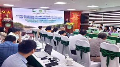 Chuyển động xanh mở lối cho thị trường các-bon xanh dương tại Việt Nam