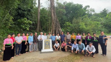  32 cây của 17 bản và tiểu khu của huyện Mường La -Sơn La được công nhận Cây Di sản Việt Nam